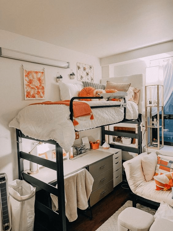 Elevate Your Dorm Room Decor Ideas You Will Love
